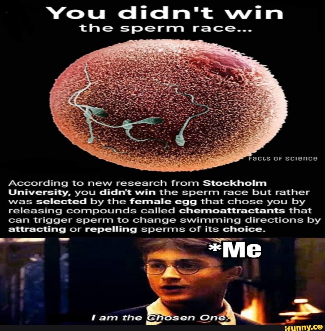 You didn't win
the sperm race...
According to new research from Stockholm
University, you didn't win the sperm race but rather
was selected by the female egg that chose you by
releasing Compounds called chemoattractants that
can trigger sperm to change swimming directions by
attracting or repelling sperms of its choice.