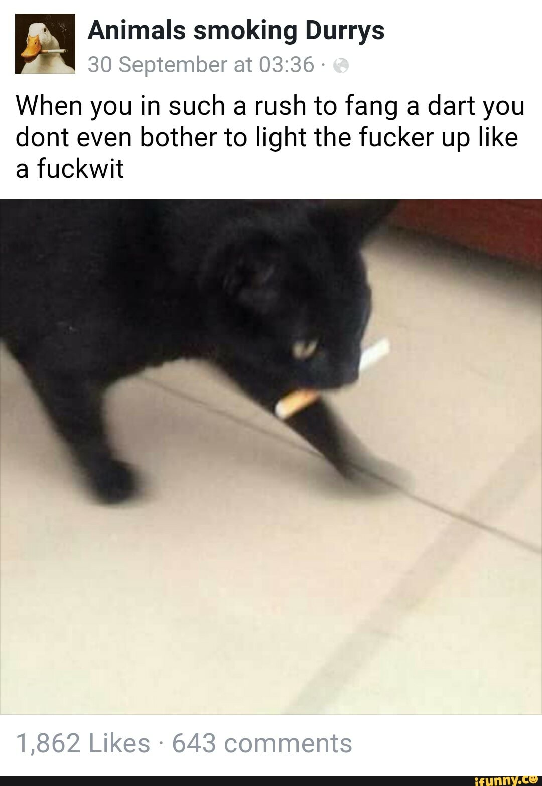 I Animals smoking Durrys
30 September at
When you in such a rush to fang a dart you
dont even bother to light the fucker up like fuckwit
1,862 Likes 643 comments
