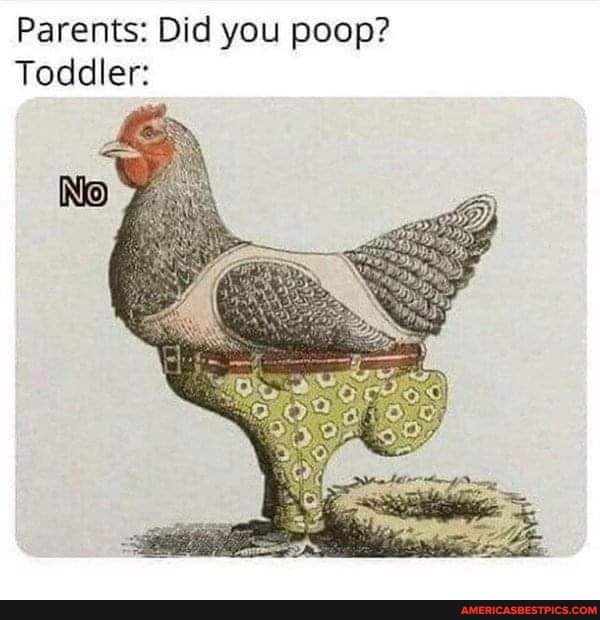 Parents: Did you poop?
Toddler:
No