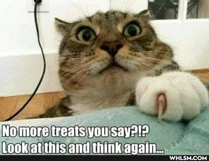 No iore treats you
Ernrok wt tte thim