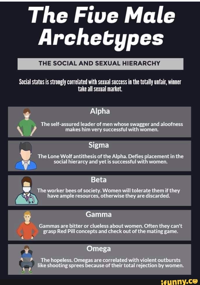 The Five Male Archetypes The Social And Sexual Hierarchy Social Status Strongly Correlated With