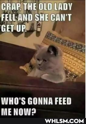ED
THE
FELLAND SHEGAN'T
GETUPY
WHO'S GONNA FE
more