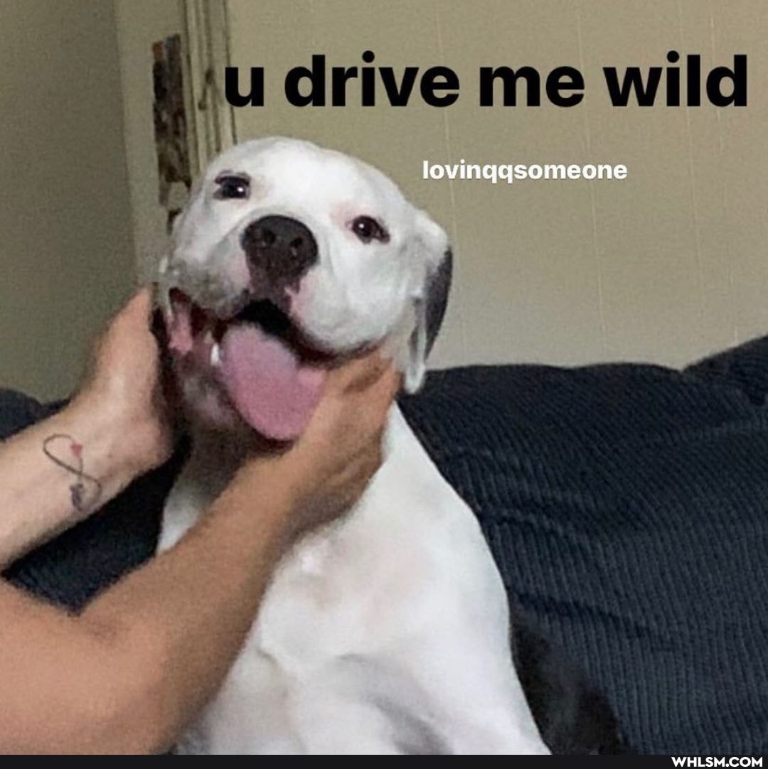 drive me wild
lovinggsomeone