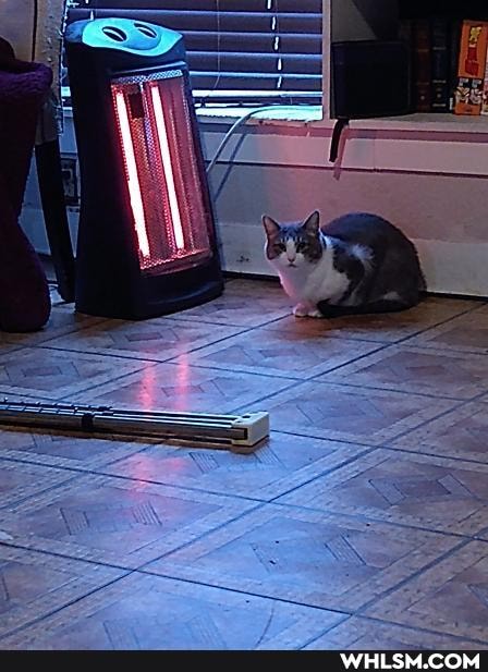 meow, star, wars, light, sabers, charging