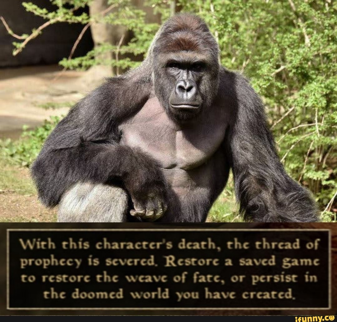 With chis charactcr's dearth, the thread of prophecy is severed. Restore a  saved game to restore the weave persist in the doomed world you have  created. - )