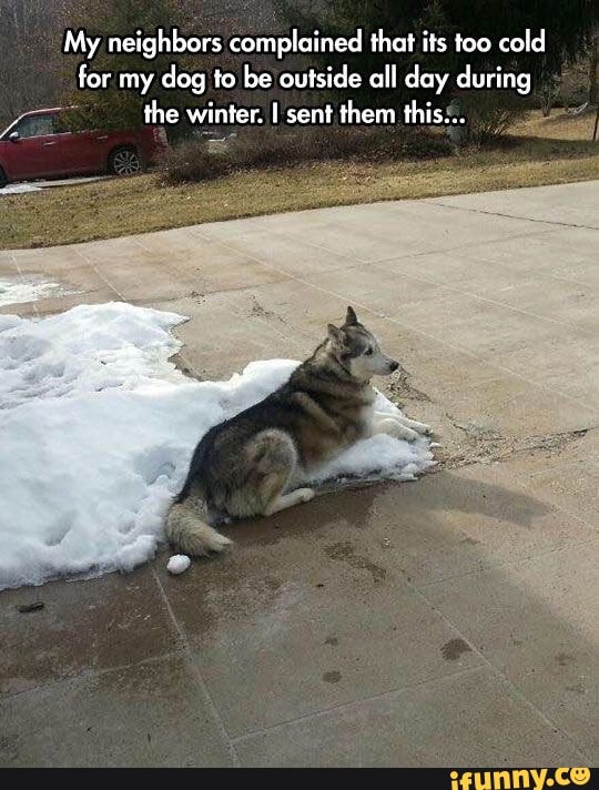 My neighbors complained that its too cold for my dog to be outside all day during the winter. I sent them this:..