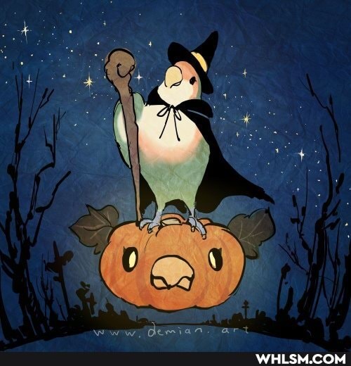 art, cats, halloween