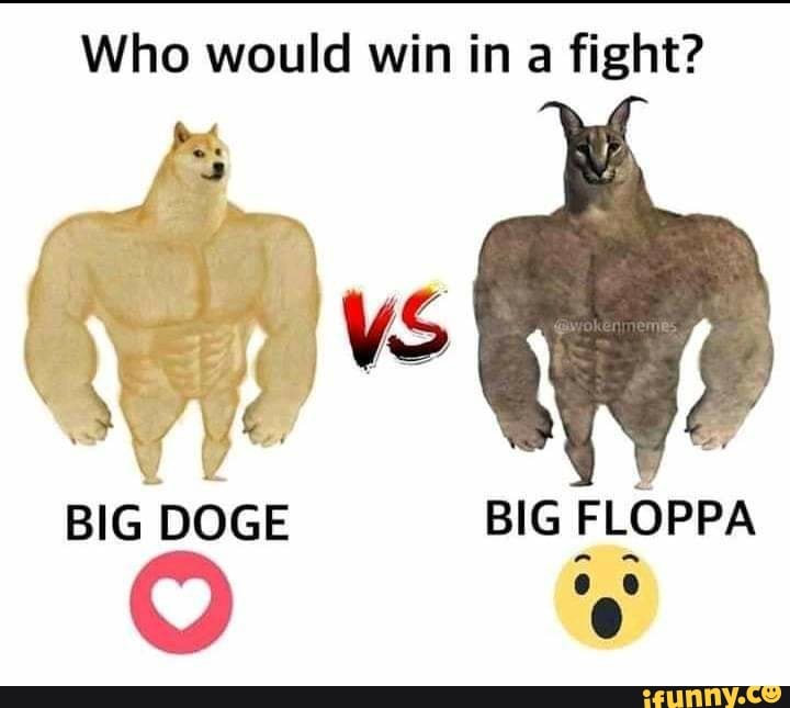 Doge o floppa? - Meme by Marcorealmadrid :) Memedroid