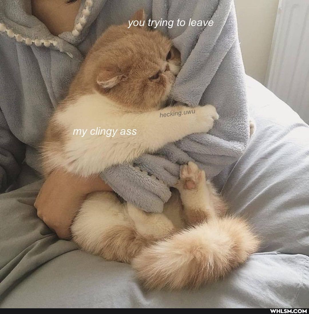 you trying to leave
my clingy ass