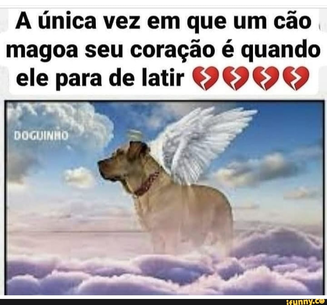 A única vez em que um cão.
magoa seu coração é quando
ele para de latir
DOGUINHO