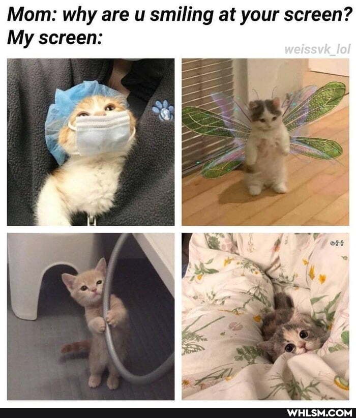 Mom: why are u smiling at your screen?
My screen: