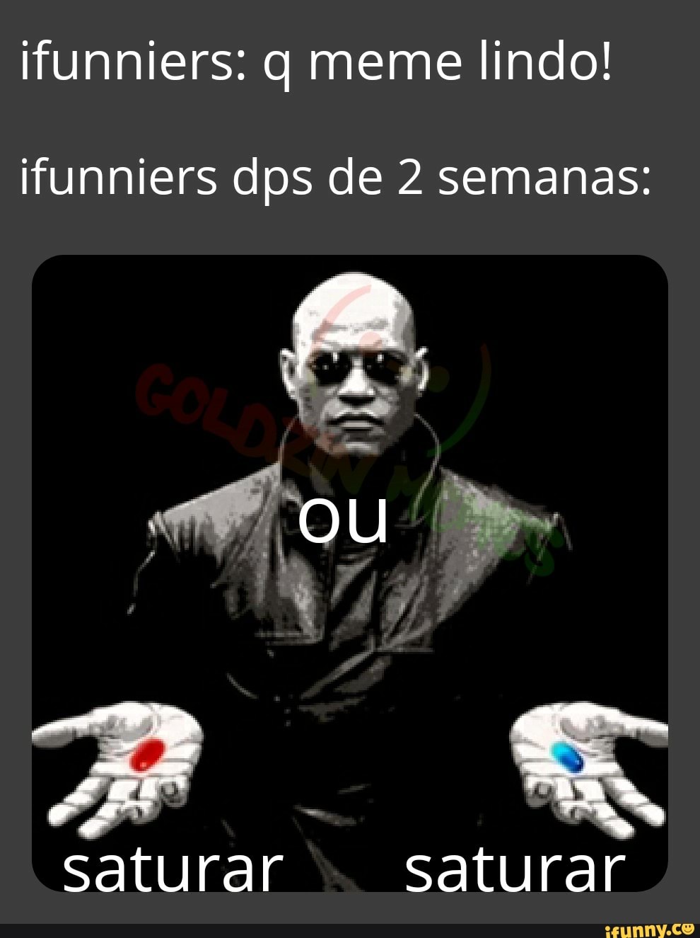 ifunniers: q meme lindo!
ifunniers dps de 2 semanas:
OU
saturar saturar