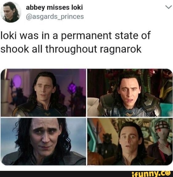 A abbey misses loki ards_princ loki was in a permanent state of shook ...