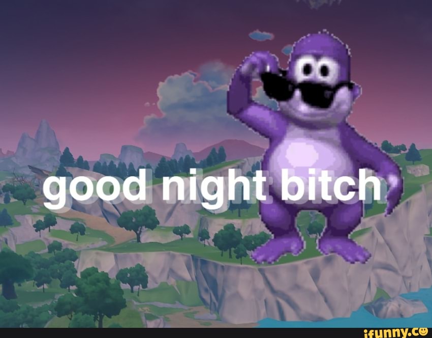 good night bitch
