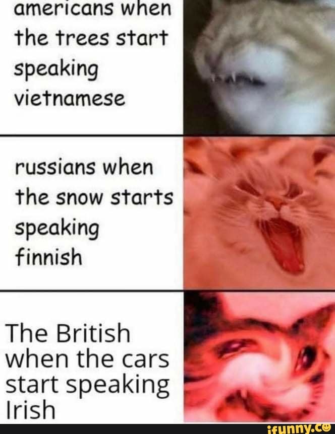 When the british started. Cuckshed. Кот ПТСР Мем. Why is Snow speaking Finnish. We are Russians Snow.