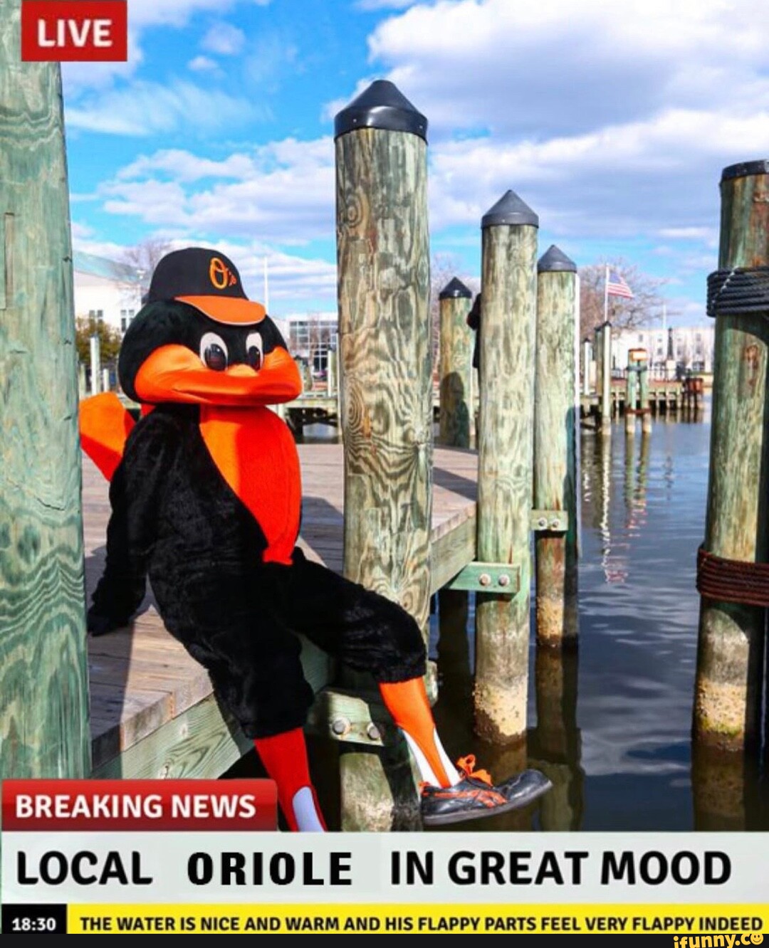 orioles memes｜TikTok Search