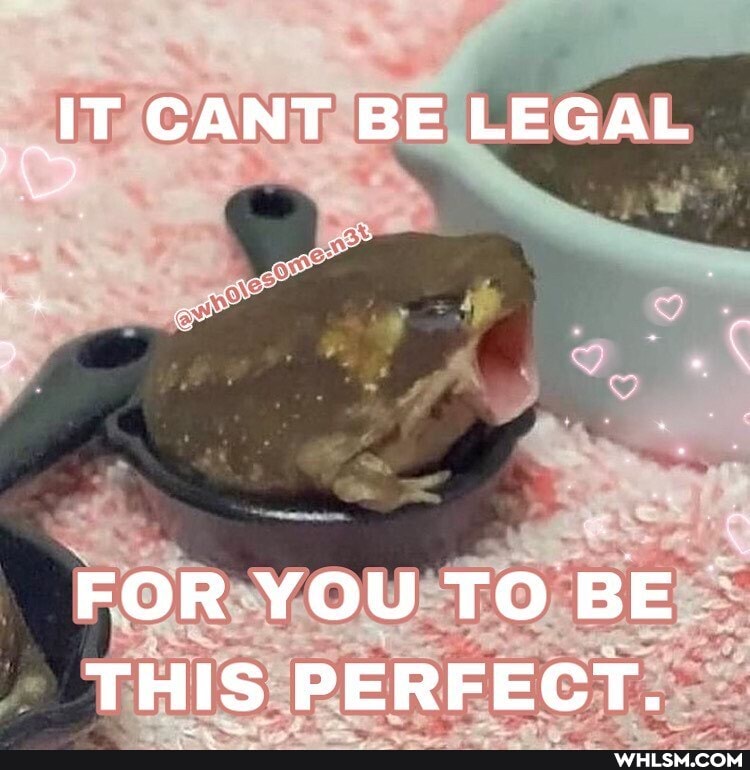 _IT CANT BE LEGAL
FOR YOU TO BE THIS PERFECT.