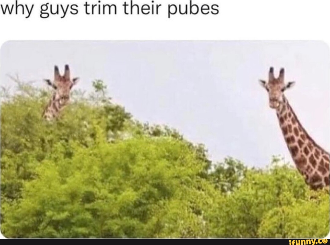 Why Guys Trim Their Pubes IFunny
