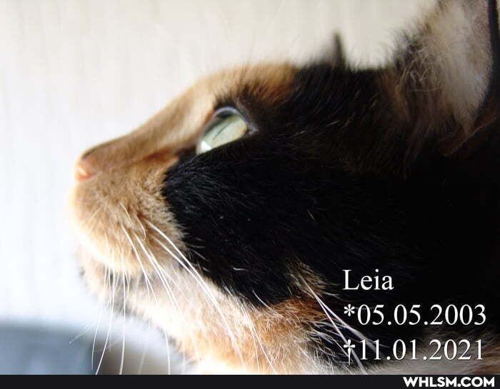 "Leia gos 05.2003
EN 012029