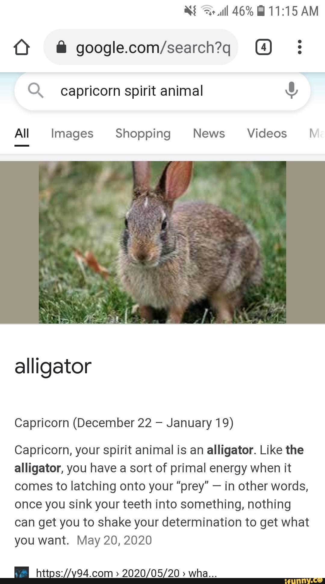 If you look up and zodiac spirit animal it will be the same picture of a  rabbit but say a different animal - ill 46% AM Q (4) Q capricorn spirit  animal