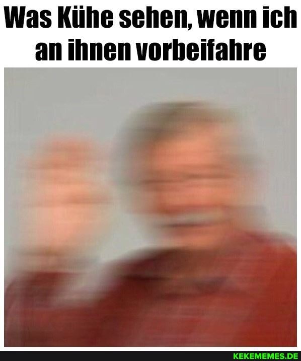 Was Kühe sehen, wenn ic an ihnen vorheifahre
