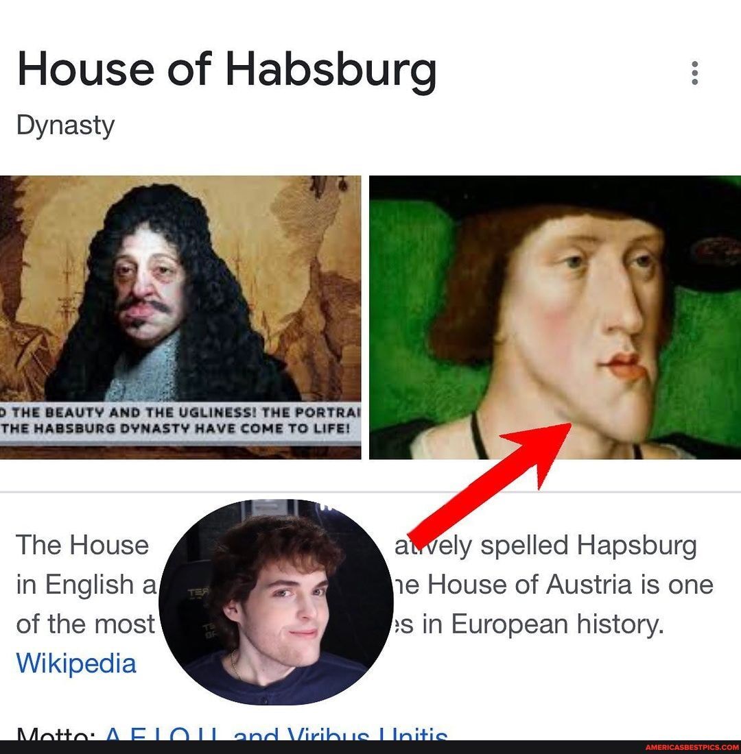 Dream with the Habsburg chin meme dankmemes memes dankmeme memes😂