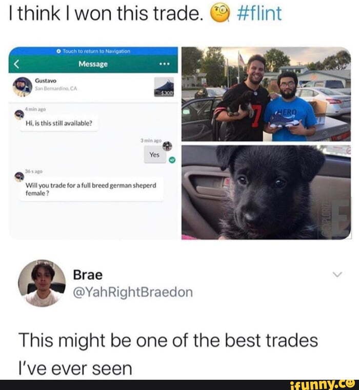 I think I won this trade. #flint
Hi.is this still available?
Will you trade for a full breed german sheperd female?
This might be one of the best trades
AVArT CBAAKK