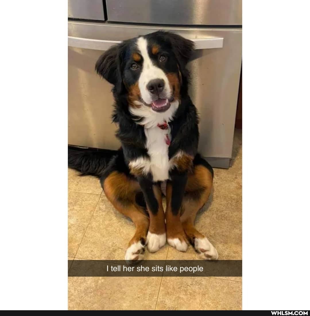 I tell her she sits like people