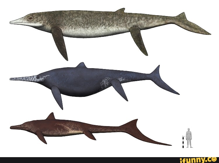 Ichthyosaur memes. Best Collection of funny Ichthyosaur pictures on iFunny