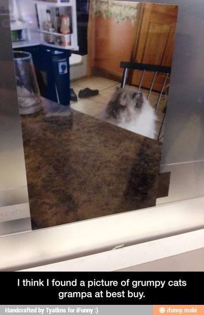 I think I found a picture of grumpy cats
grampa at best buy. - I think I found a picture of grumpy cats grampa at best buy.