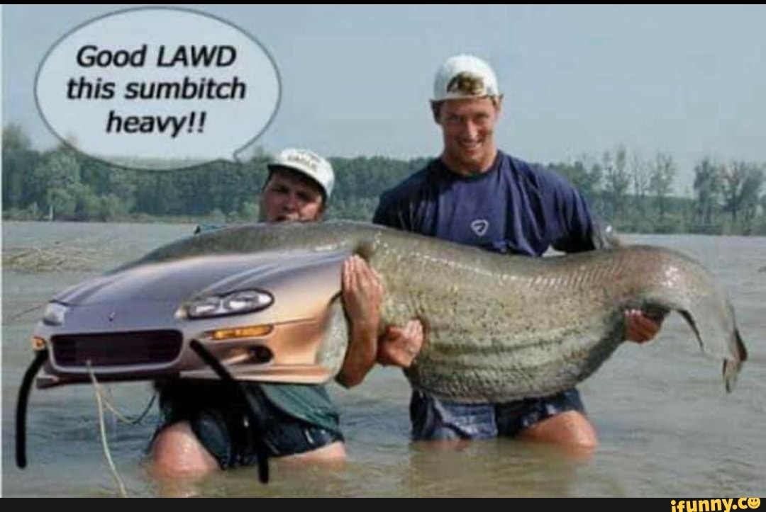 Good LAW) this sumbitch heavy!!