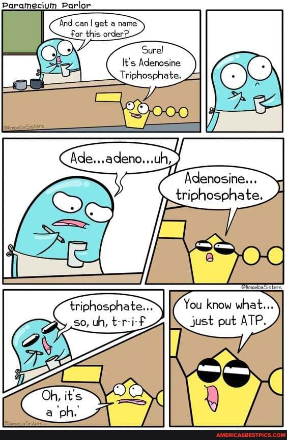 Paramecia memes. Best Collection of funny Paramecia pictures on iFunny