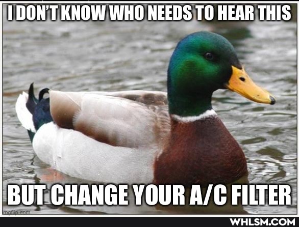 NT KNOW WHO NEEDS TO HEAR THIS
BUT CHANGE YOUR FILTER