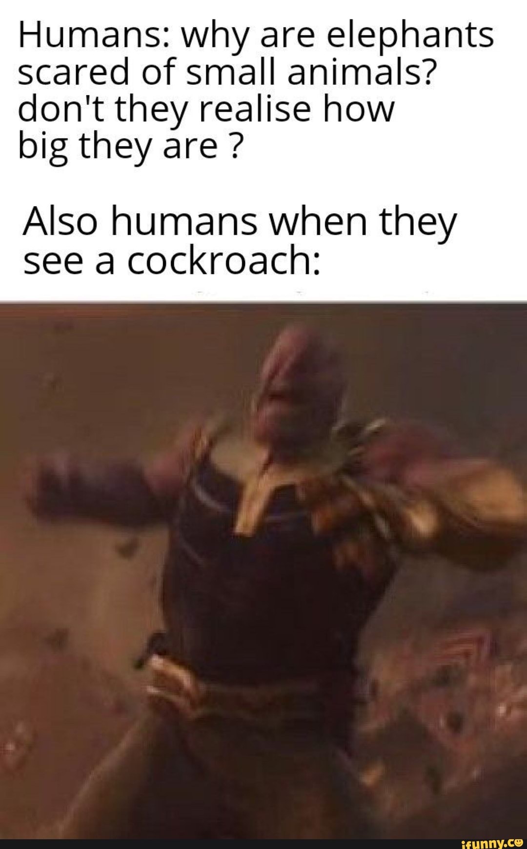 Humans: why are elephants
scared of small animals?
don't they realise how
big they are Also humans when they
see a cockroach:
