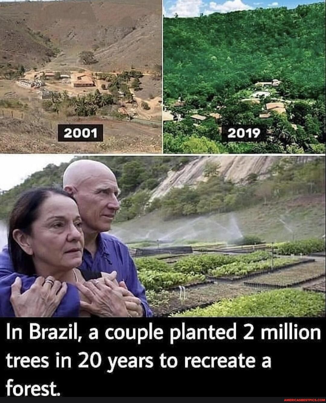 In Brazil, a couple planted 2 million trees in 20 years to recreate a