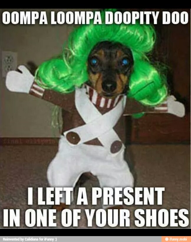 OOMPA LOOMPA DOOPITY DOO
hey,
I LEFT A PRESENT
IN ONE OF YOUR SHOES