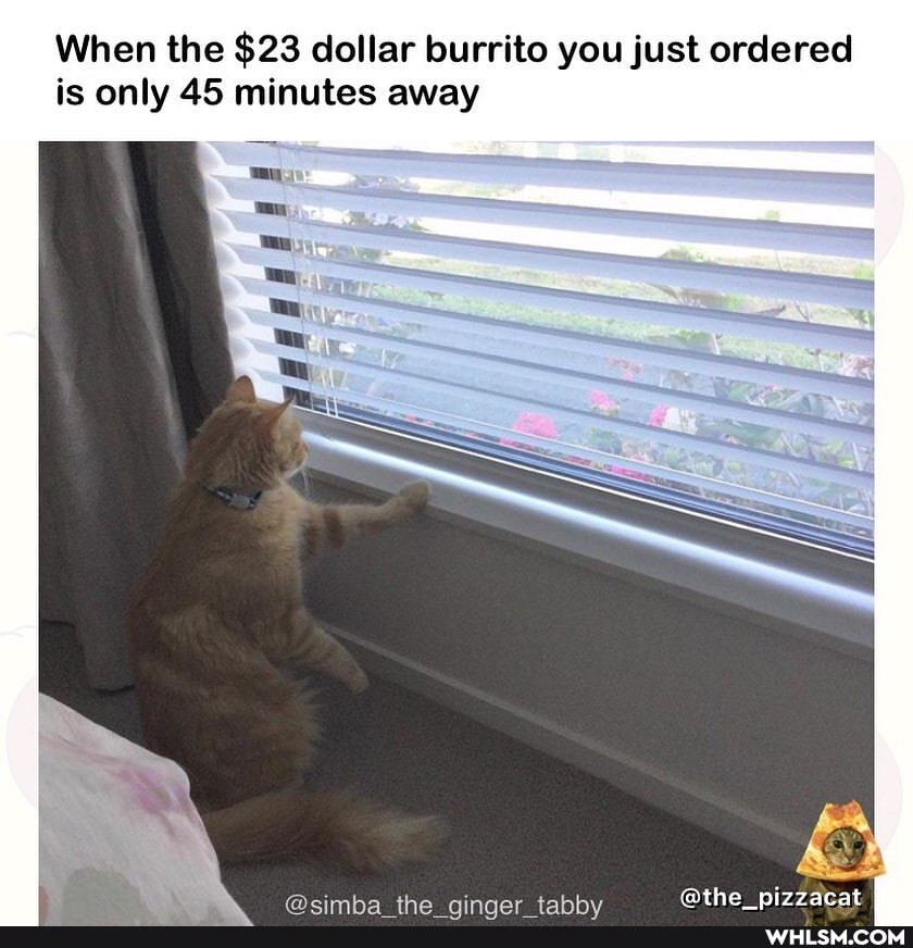 When the $23 dollar burrito you just ordered is only 45 minutes away
wthe