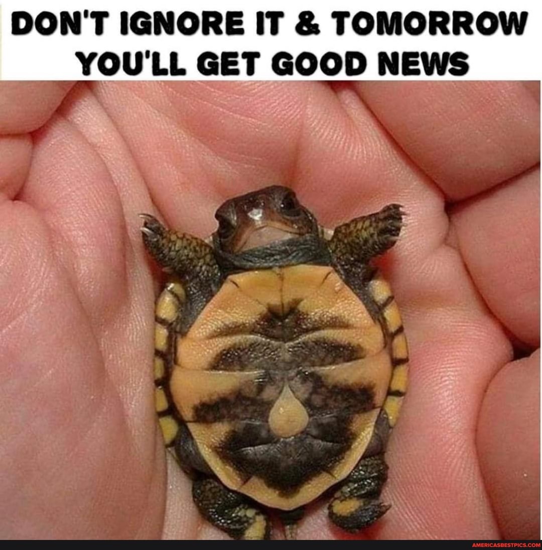 DON'T IGNORE IT & TOMORROW YOU'LL GET GOOD NEWS