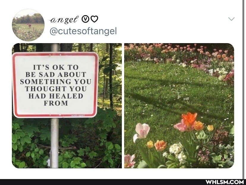 angel
@cutesoftangel
IT'S OK TO BE SAD ABOUT SOMETHING YOU THOUGHT YOU HAD HEALED FROM