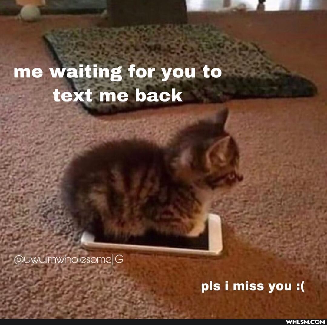me waiting for you to text me back
@uwuimwnolesomelG
pls miss you