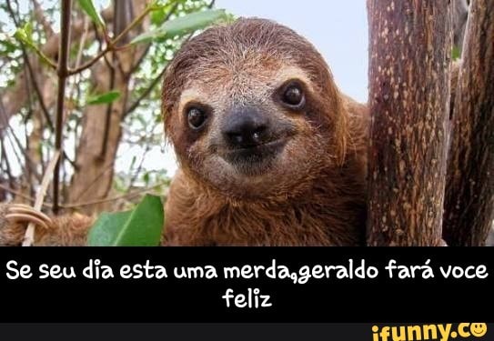 Se seu dia esta uma
merdasgeraldo fará voce
feliz - Se seu dia esta uma merda,geraldo fará voce feliz