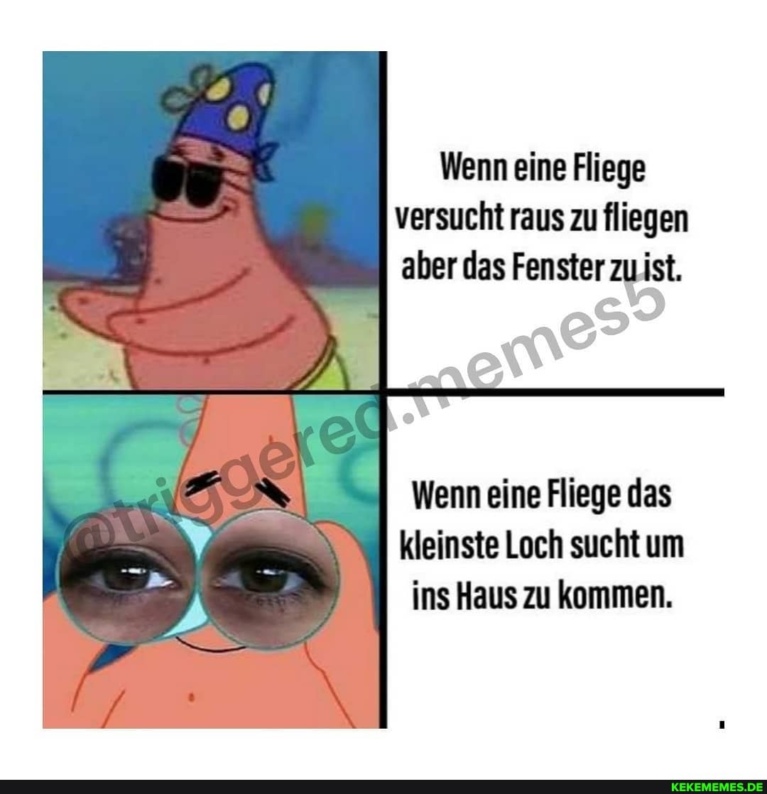 Wenn eine Fliege versucht raus zu fliegen aber das Fenster zuist.
Wenn eine Fliege das kleinste Loch sucht um ins Haus zu kommen.