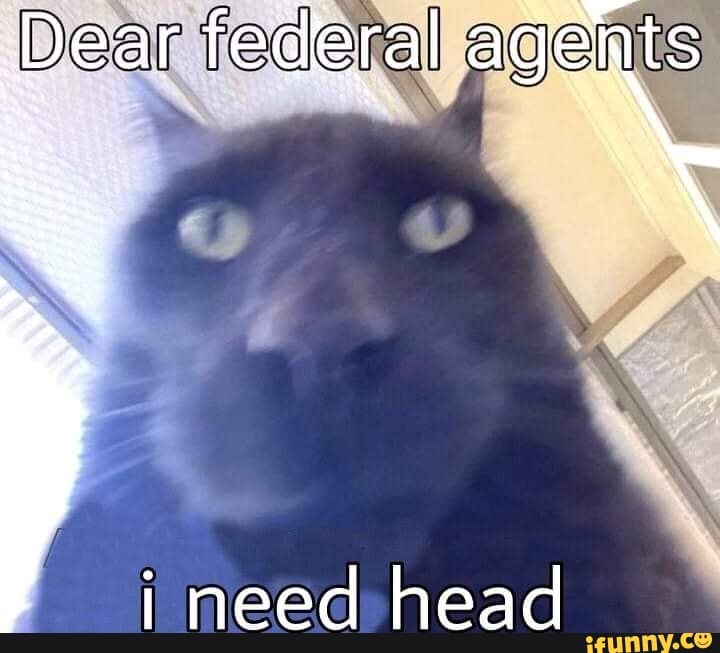 Dear federal agents
i need head