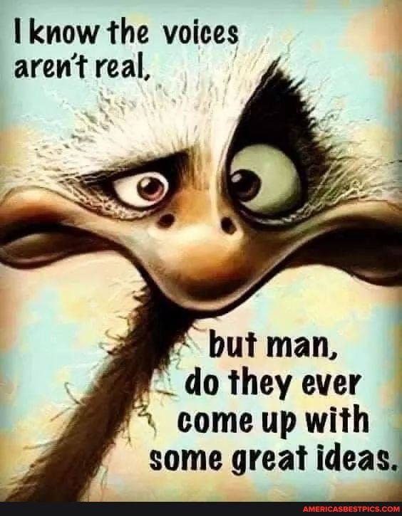 I know the voices aren't real,
but man,
do they ever
come up with some great ideas.