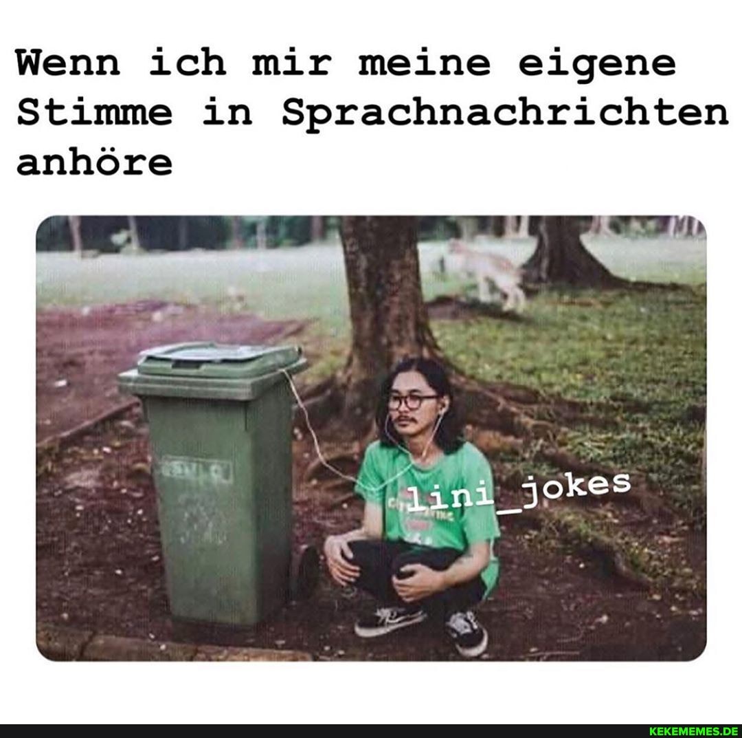 Wenn ich mir meine eigene
Stimme in Sprachnachrichten anhöre