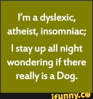 I'm a dyslexic, atheist, insomniac; Istay up all night wondering if there  really is a Dog. - iFunny :)