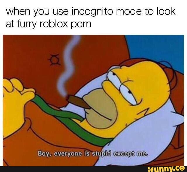 When You Use Incognito Mode To Look At Furry Roblox Pom - 