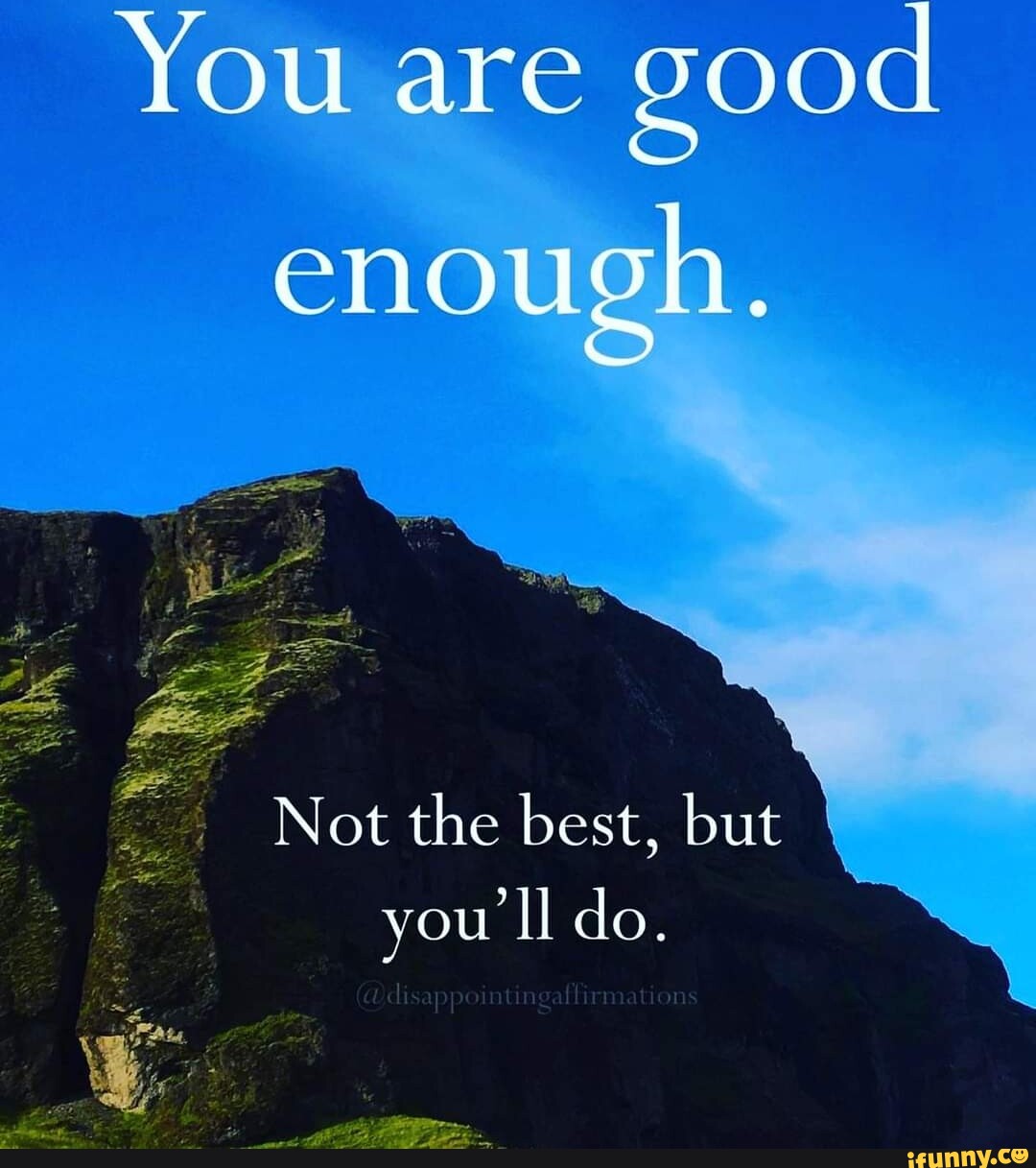 You are good enough. Not the best, but you li do. - iFunny