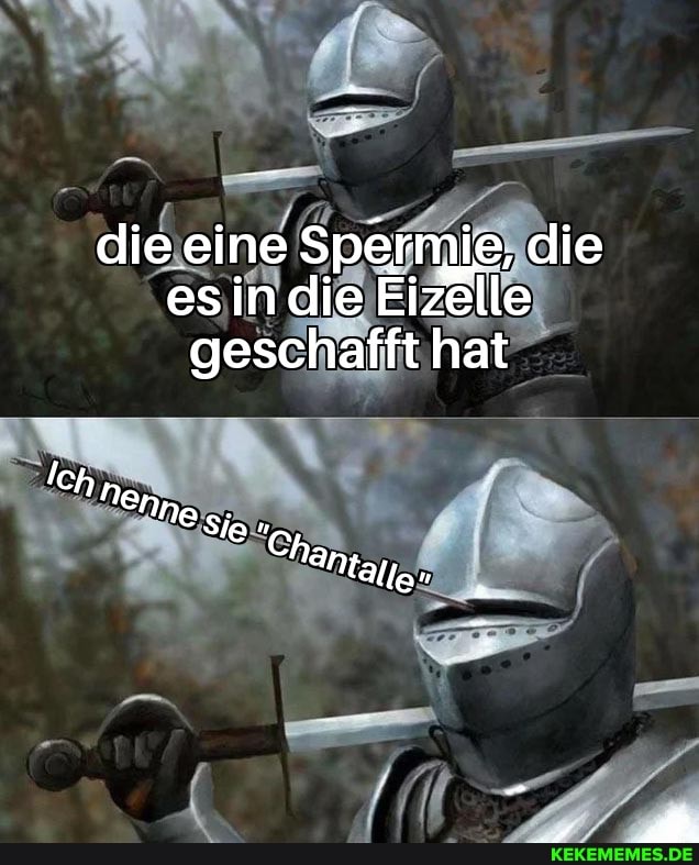 die eine Spermie, die esin die Eizelle geschafft hat