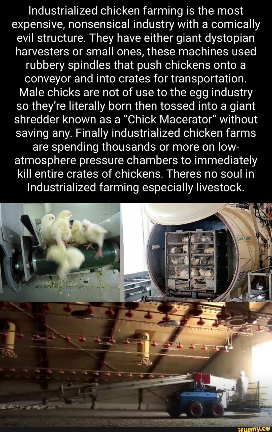 Spindles memes. Best Collection of funny Spindles pictures on iFunny